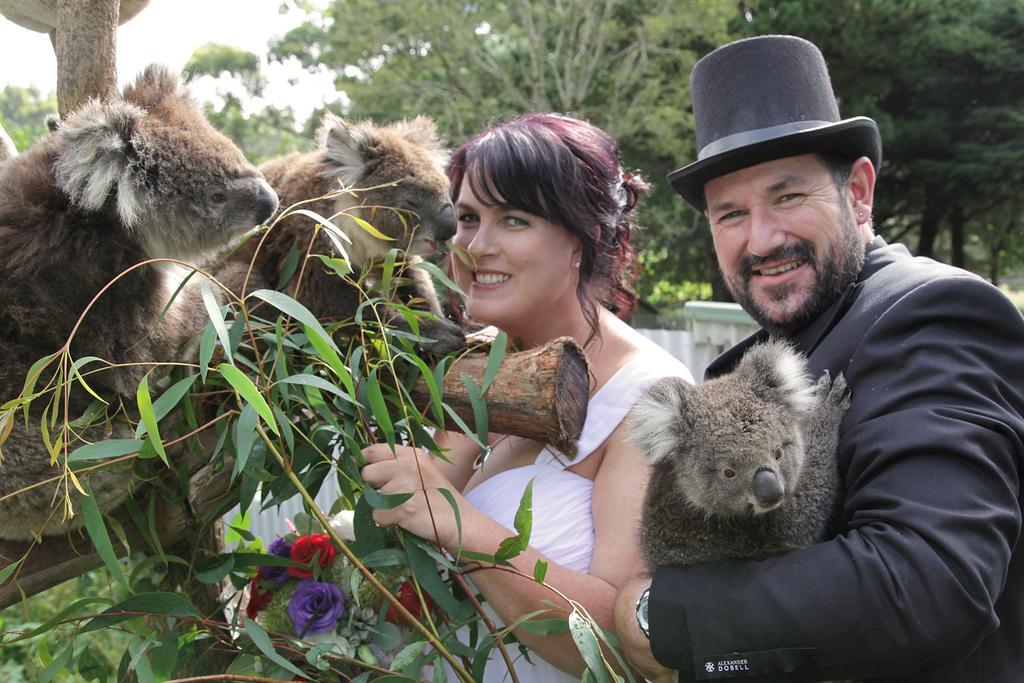 Fauna Australia Wildlife Retreat Lavers Hill Екстериор снимка