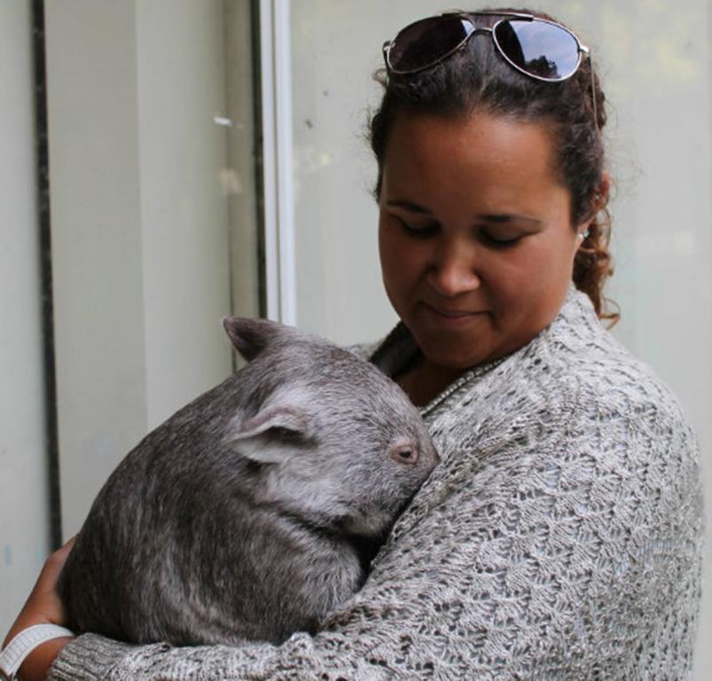 Fauna Australia Wildlife Retreat Lavers Hill Екстериор снимка