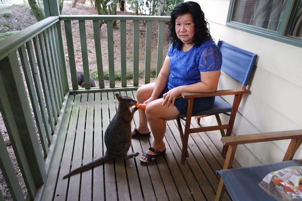 Fauna Australia Wildlife Retreat Lavers Hill Екстериор снимка