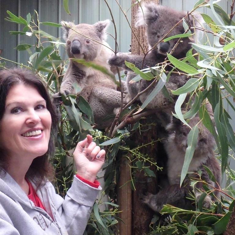 Fauna Australia Wildlife Retreat Lavers Hill Екстериор снимка