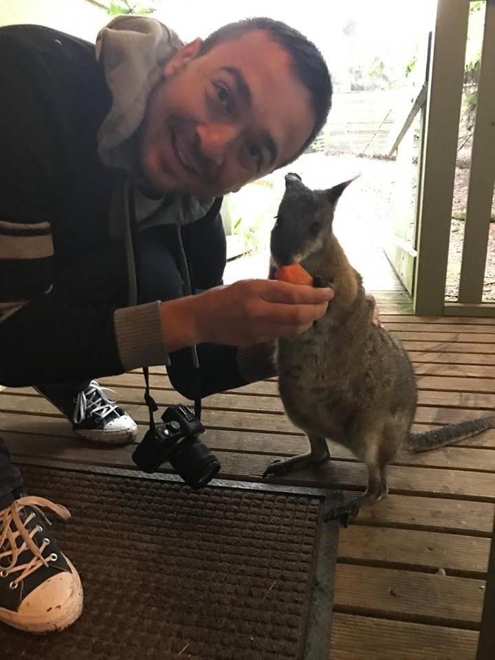 Fauna Australia Wildlife Retreat Lavers Hill Екстериор снимка